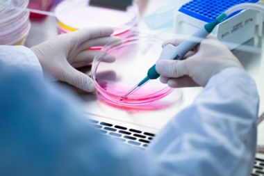 人輪狀病毒(RV)IgM ELISA Kit試劑盒 人輪狀病毒(RV)IgM ELISA Kit試劑盒