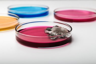 人鉤端螺旋體IgG(Lep IgG)ELISA Kit試劑盒 人鉤端螺旋體IgG(Lep IgG)ELISA Kit試劑盒