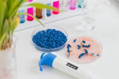 人低密度脂蛋白免疫復合物(LDL-IC)ELISA Kit試劑盒 人低密度脂蛋白免疫復合物(LDL-IC)ELISA Kit試劑盒