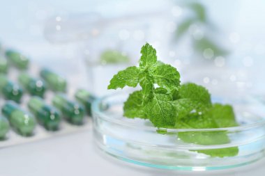 植物elisa試劑盒實驗原理與產品說明簡介