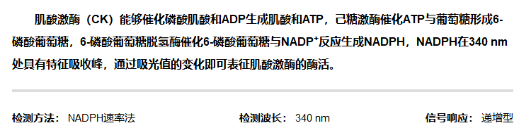 輔酶II - 肌酸激酶活性檢測試劑盒 輔酶II - 肌酸激酶活性檢測試劑盒