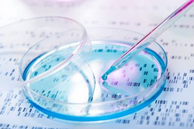細胞壁結合酸性轉化酶活性檢測試劑盒圖1 細胞壁結合酸性轉化酶活性檢測試劑盒圖1