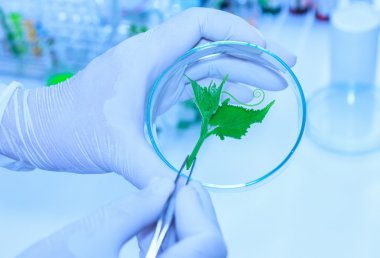 植物總酚含量檢測試劑盒說明書圖1 植物總酚含量檢測試劑盒說明書圖1