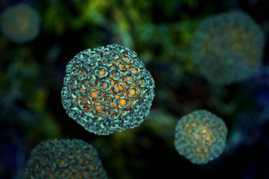 生物胺類檢測在高效液相色譜法中的應用圖1 生物胺類檢測在高效液相色譜法中的應用圖1