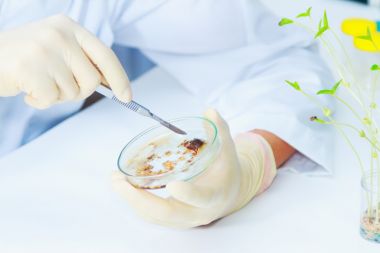 標題:農藥、獸藥類檢測在液相色譜串聯質譜中的應用圖1 標題:農藥、獸藥類檢測在液相色譜串聯質譜中的應用圖1