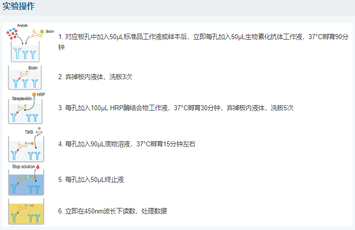 人視黃醇結(jié)合蛋白4(RBP4)酶聯(lián)免疫吸附測(cè)定試劑盒圖6 人視黃醇結(jié)合蛋白4(RBP4)酶聯(lián)免疫吸附測(cè)定試劑盒圖6