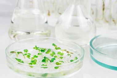 原鑫生物 - 農藥殘留檢測優勢與優惠方案圖3 原鑫生物 - 農藥殘留檢測優勢與優惠方案圖3