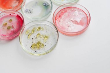 胞漿異檸檬酸脫氫酶活性檢測(cè)試劑盒圖1 胞漿異檸檬酸脫氫酶活性檢測(cè)試劑盒圖1