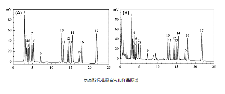 LCMS氨基酸檢測(cè)圖譜報(bào)告 LCMS氨基酸檢測(cè)圖譜報(bào)告